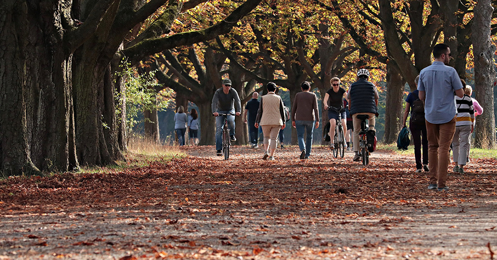 Cyklister och personer till fots på cykelväg i en park