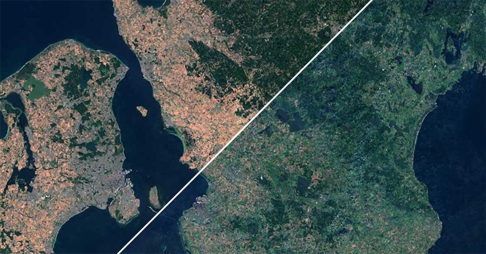 Satellitbild över Skåne innan och efter skogsbränderna 2018